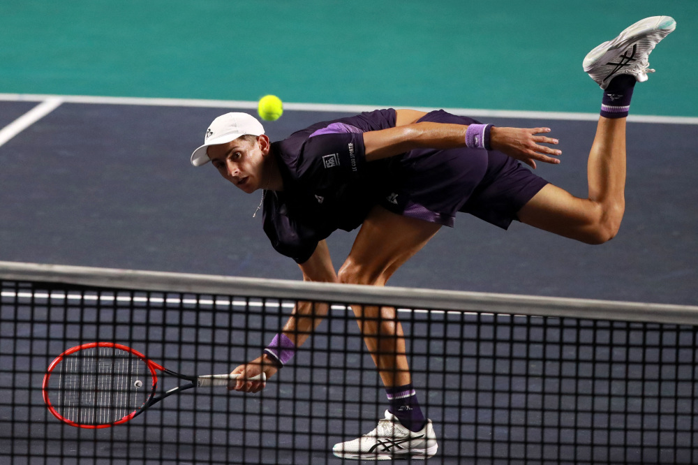 斑马军团 斑马军团