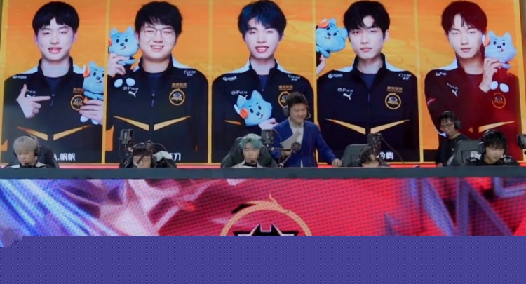 版型与功能 版型与功能
